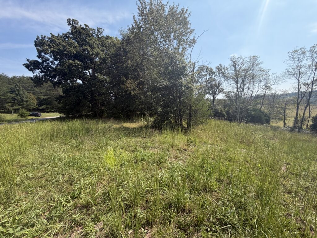 cb36ec9d-ae59-4957-bd65-6c528234c550.jpg