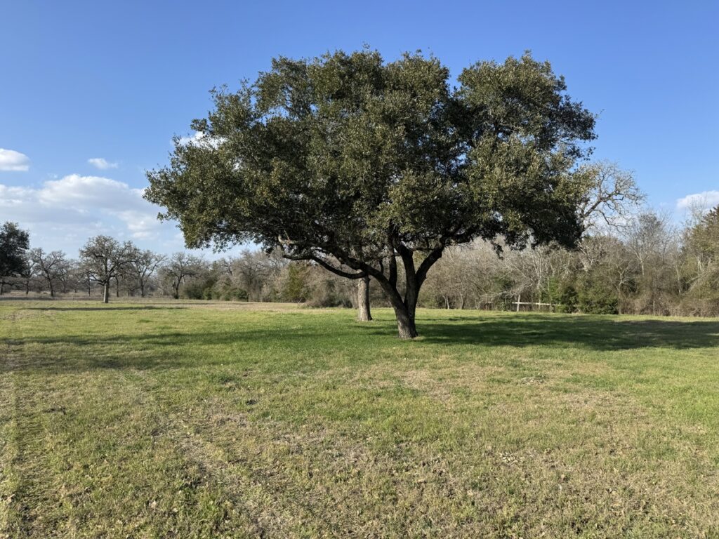Property photo for land for sale in Washington County Texas