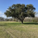 Property photo for land for sale in Washington County Texas