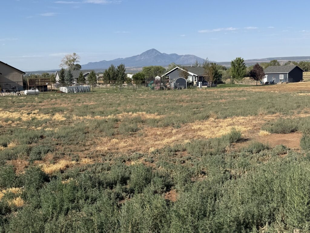 Property photo for land for sale in Montezuma County Colorado