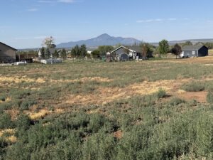 Property photo for land for sale in Montezuma County Colorado