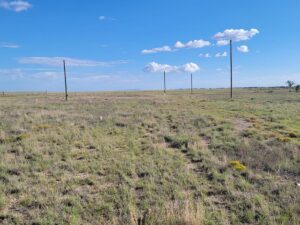 Property photo for land for sale in Torrance County New Mexico