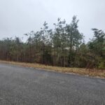 Property photo for land for sale in Perry County Tennessee