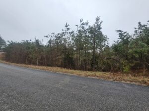 Property photo for land for sale in Perry County Tennessee