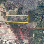 Property photo for land for sale in Cass County Texas
