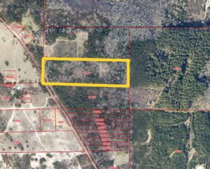 Property photo for land for sale in Cass County Texas