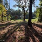 Property photo for land for sale in Smith County Mississippi