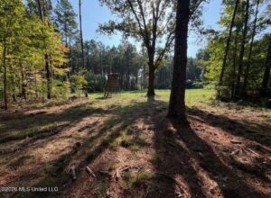 Property photo for land for sale in Smith County Mississippi