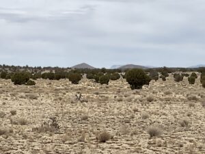 Property photo for land for sale in Yavapai County Arizona