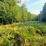 Property photo for land for sale in Iron County Wisconsin