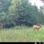 Property photo for land for sale in Adams County Wisconsin