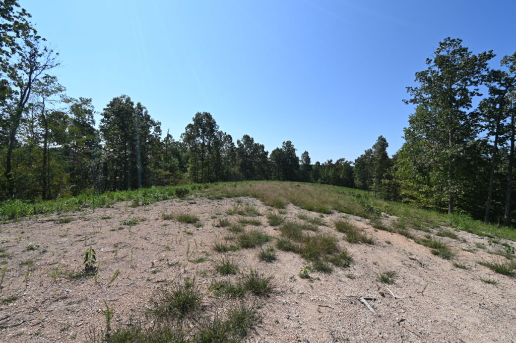 d3ab2464-2674-4209-8009-620477952ce8.jpg