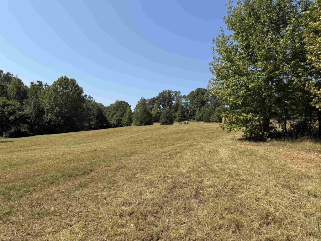 d4b226c6-020f-4f75-9187-c1a66104ca42.jpg