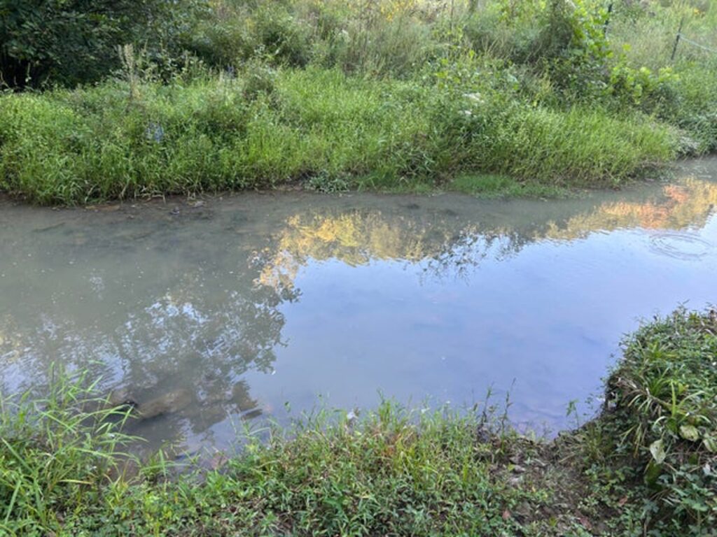 Property photo for land for sale in Hawkins County Tennessee
