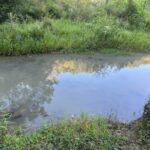 Property photo for land for sale in Hawkins County Tennessee