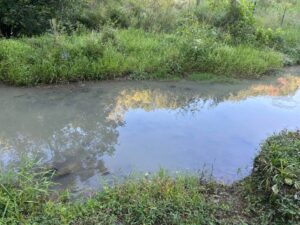Property photo for land for sale in Hawkins County Tennessee