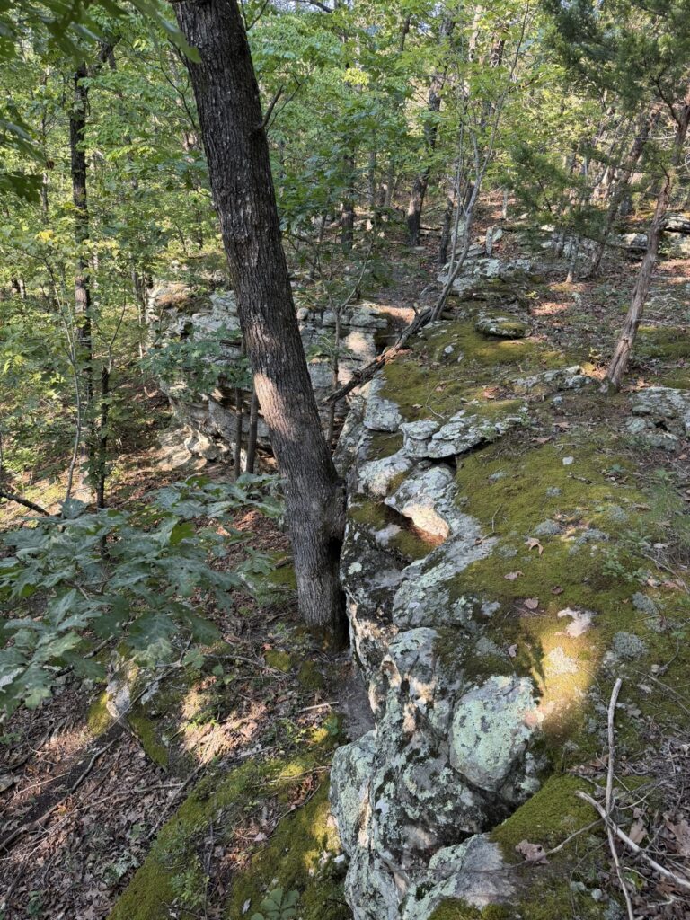 Property photo for land for sale in Izard County Arkansas