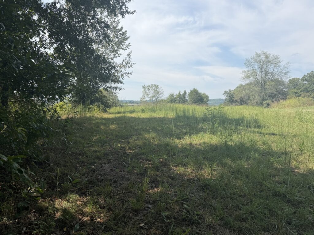 Property photo for land for sale in County Kentucky