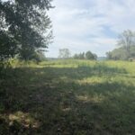Property photo for land for sale in  County Kentucky