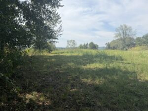 Property photo for land for sale in  County Kentucky