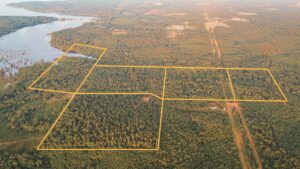 Property photo for land for sale in Union County Louisiana