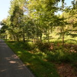 Property photo for land for sale in Perry County Tennessee