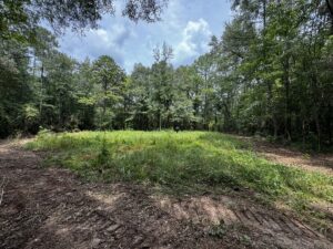 Property photo for land for sale in Pike County Mississippi