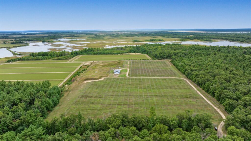Property photo for land for sale in Jackson County Wisconsin