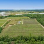 Property photo for land for sale in Jackson County Wisconsin