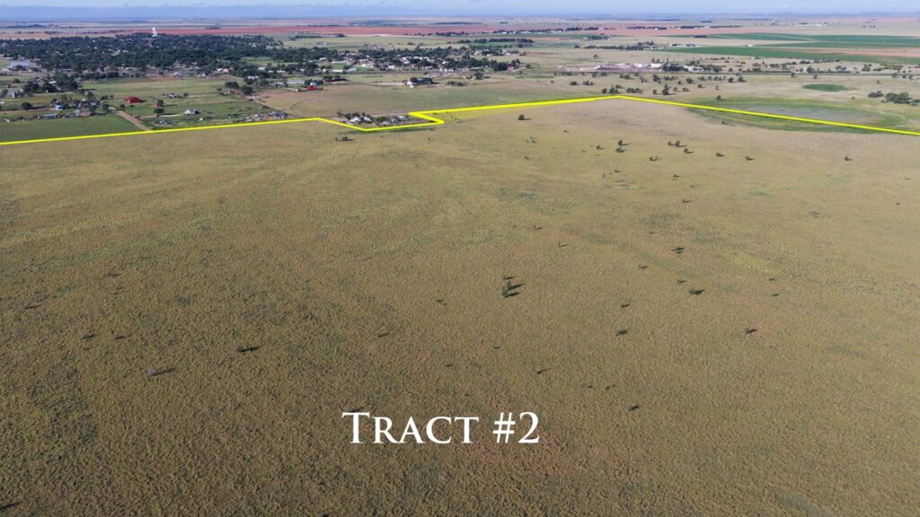 Property photo for land for sale in Lamb County Texas