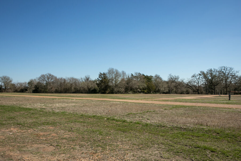 e181407a-bdca-449c-a5ac-9f97c570aeb0.jpg