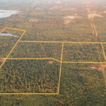 Property photo for land for sale in Union County Louisiana