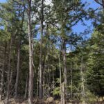 Property photo for land for sale in Baxter County Arkansas