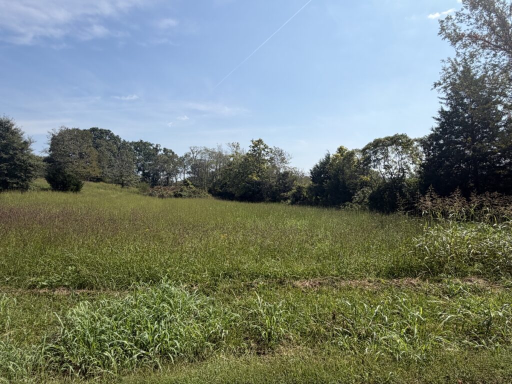 e4238cf8-1b94-4de3-abba-e16b6b608462.jpg