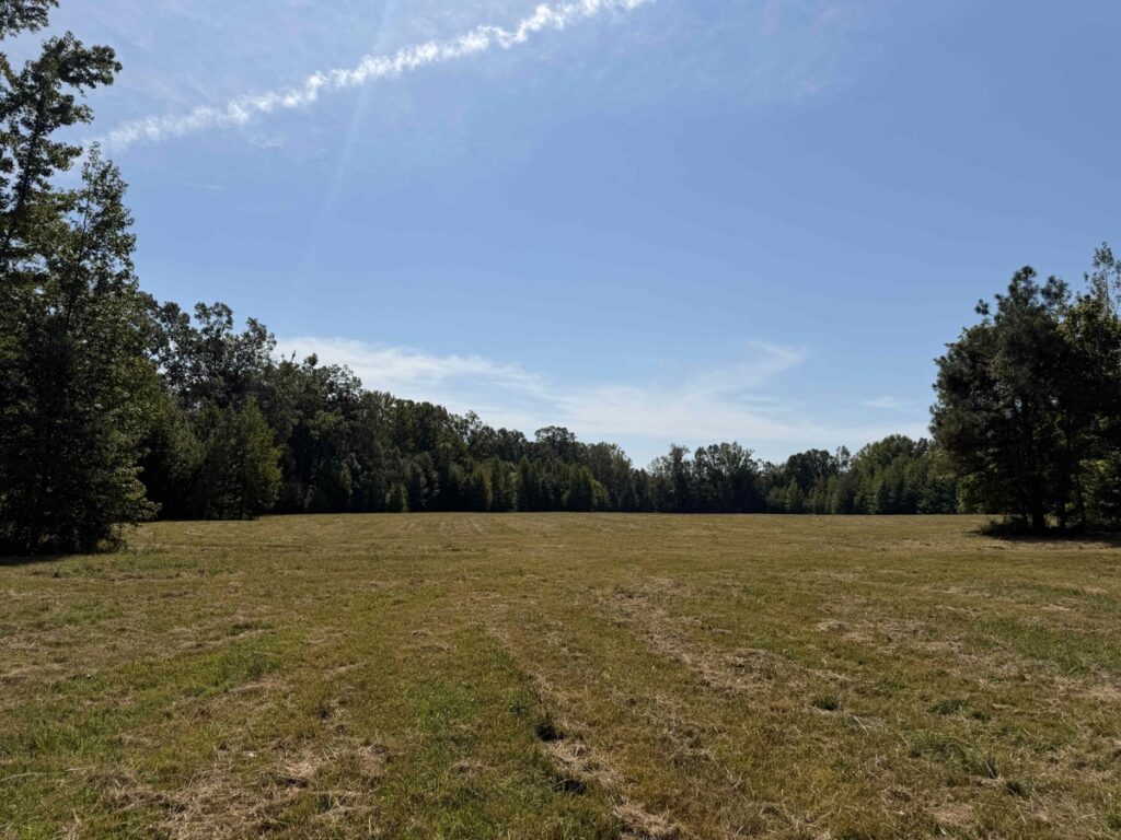 e8948ab8-00ee-4ca0-adf1-cd21e8d91b54.jpg