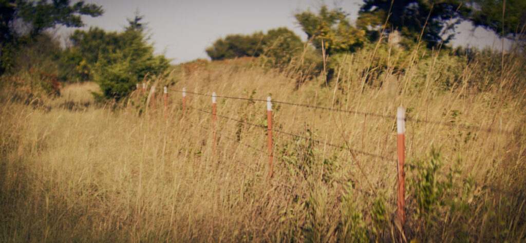 eb1671aa-d67f-445e-91eb-a5de201cce52.jpg