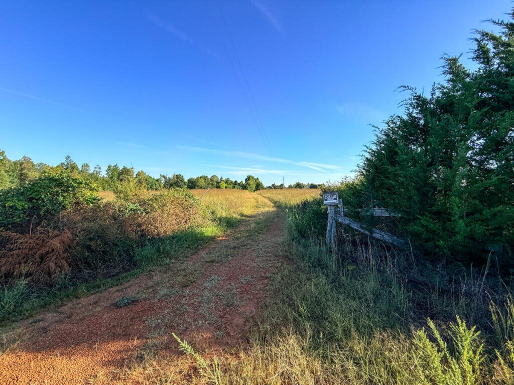 ec958a22-138d-4ca9-83d0-08a52b8c04e4.jpg