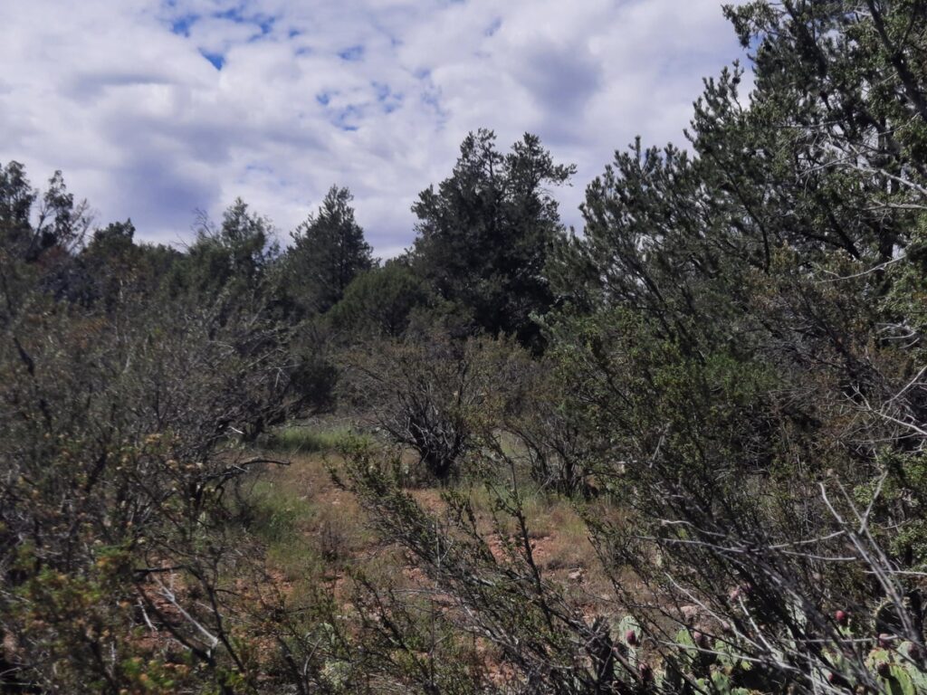 f055114b-391c-4533-83b3-715649188bf2.jpg
