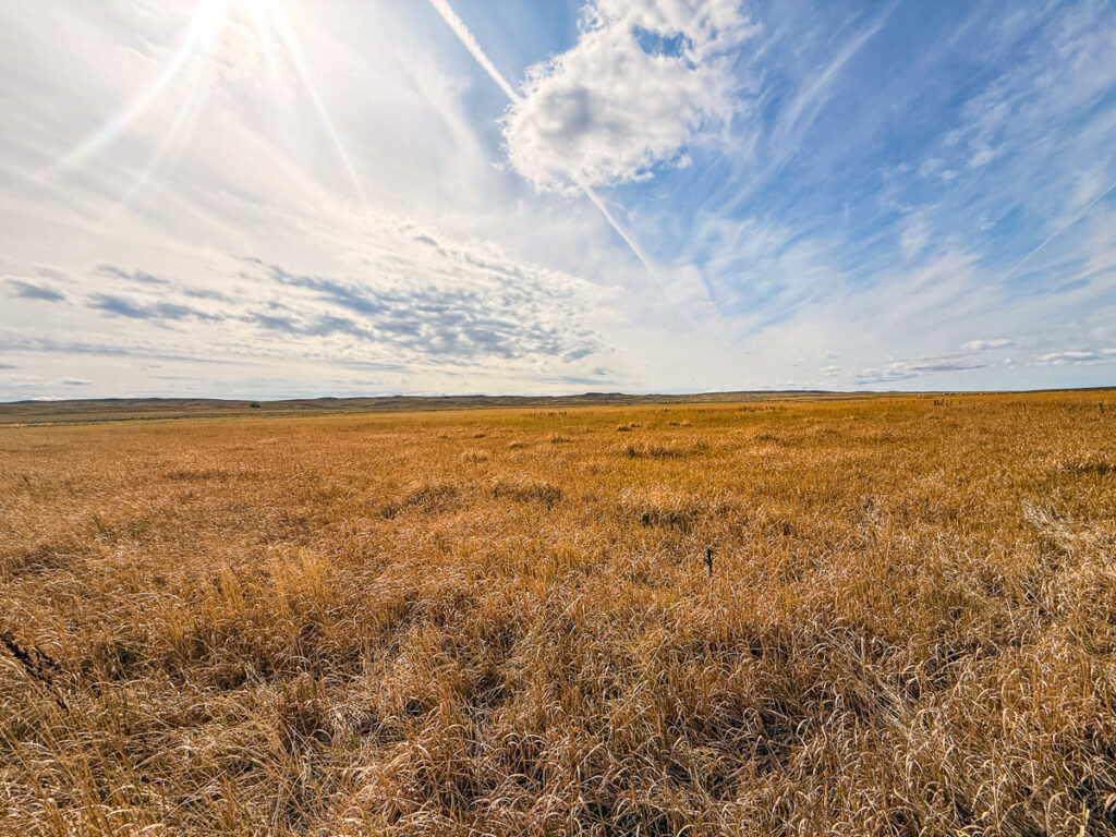 f25f4b38-265b-4b95-a80b-933b5639523f.jpg