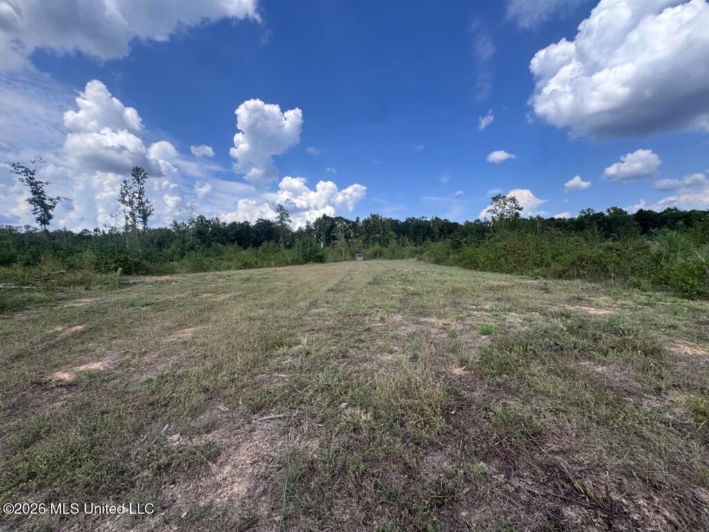 f318977d-3b9d-4f3d-9195-6a03557fa8aa.jpg