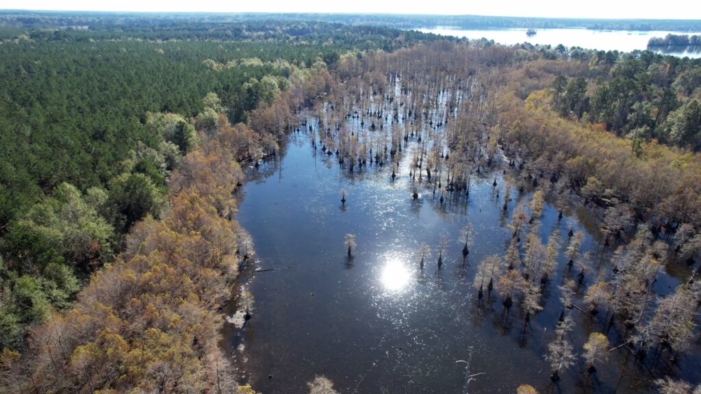 Property photo for land for sale in Ashley County Arkansas