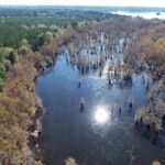 Property photo for land for sale in Ashley County Arkansas