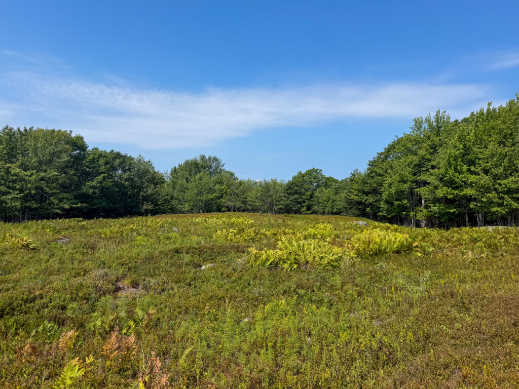 Property photo for land for sale in Washington County Maine