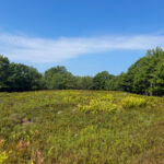 Property photo for land for sale in Washington County Maine