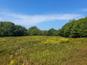 Property photo for land for sale in Washington County Maine