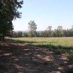 Property photo for land for sale in Arkansas County Arkansas