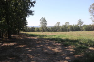 Property photo for land for sale in Arkansas County Arkansas