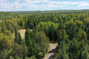 Property photo for land for sale in Aroostook County Maine