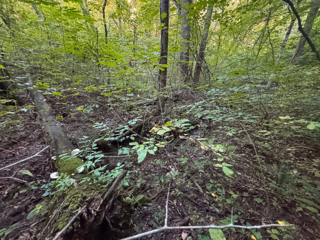 f8ea562a-f3a2-4d1c-a0a8-5e61d348b84f.jpg