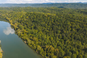 Property photo for land for sale in Hawkins County Tennessee